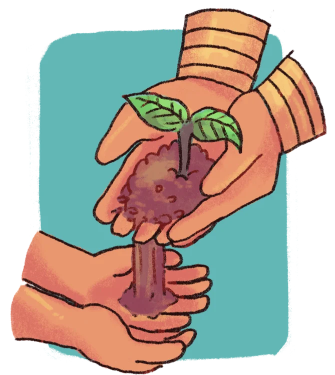 Hands sharing a growing seedling